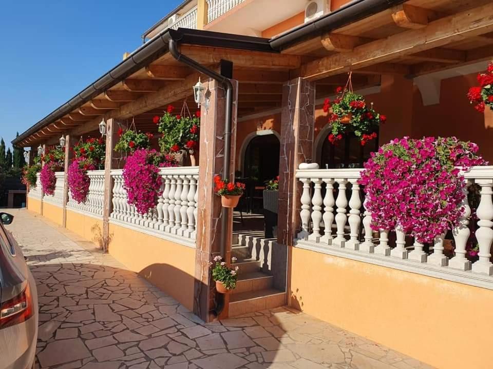 Villa Nikolina 梅杜林 外观 照片